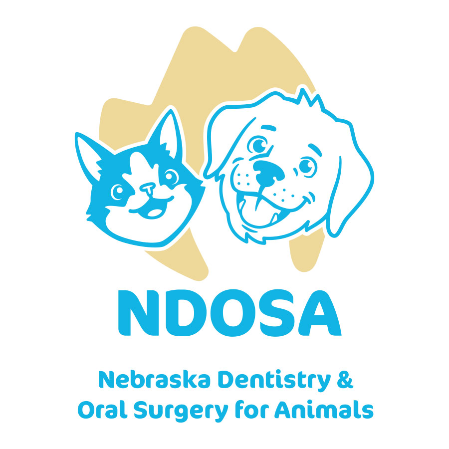 Nebraska Dentistry & Oral Surgery for Animals logo design by logo designer Eleven19 for your inspiration and for the worlds largest logo competition
