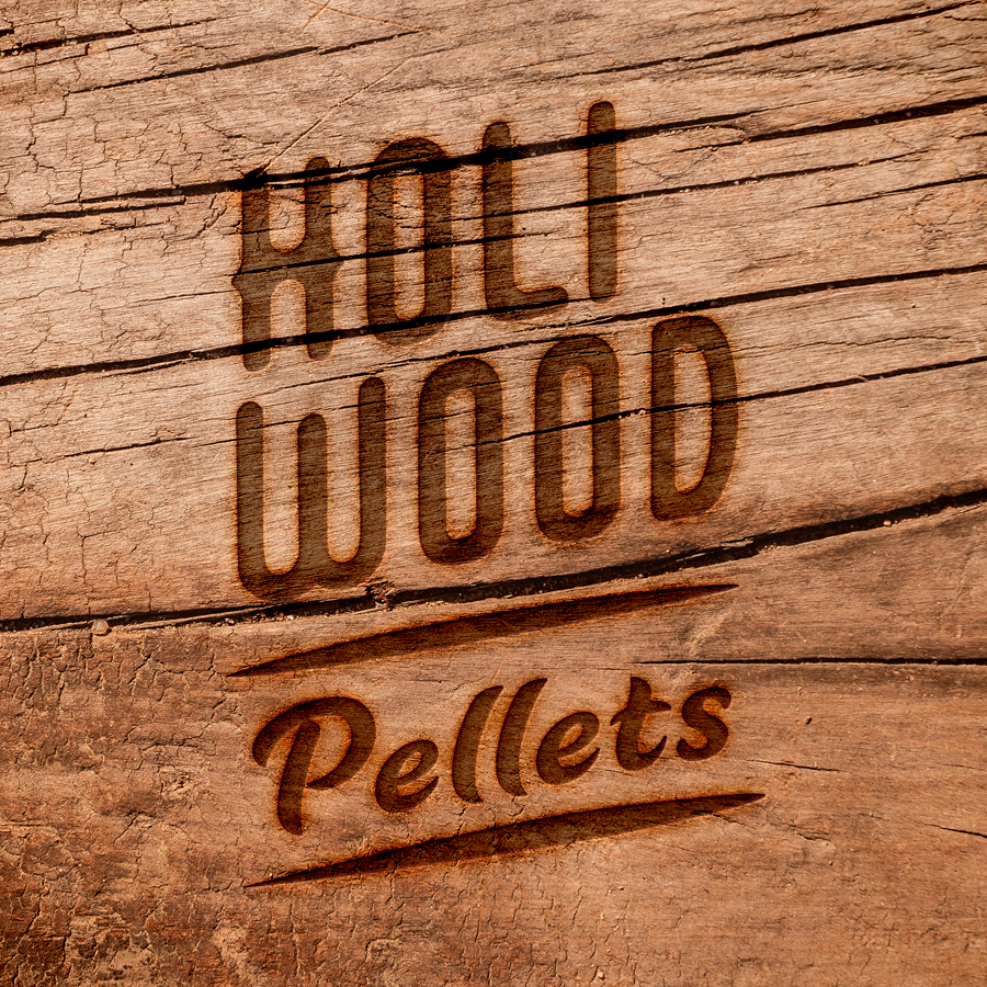 holiwood3_900px logo design by logo designer barockhaus for your inspiration and for the worlds largest logo competition