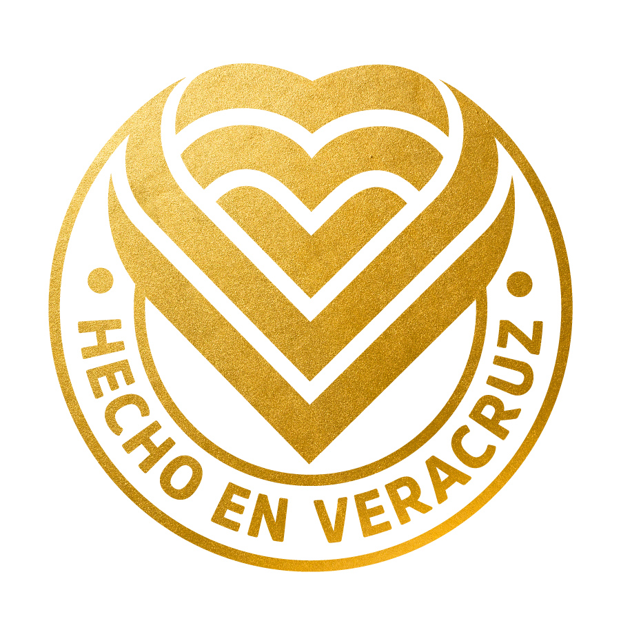 Hecho en Veracruz logo design by logo designer MT Estudio for your inspiration and for the worlds largest logo competition