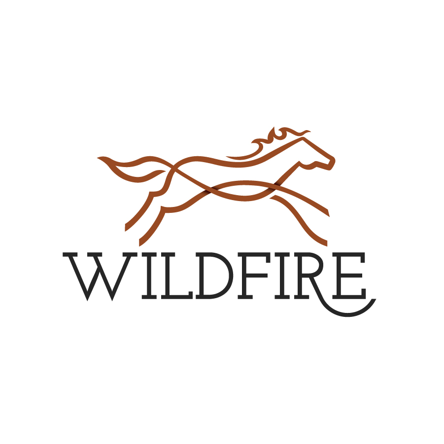 Wildfire Homes logo logo design by logo designer BASIS for your inspiration and for the worlds largest logo competition