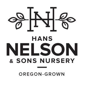 Nelson Nursery Logo logo design by logo designer Clark & Co. for your inspiration and for the worlds largest logo competition