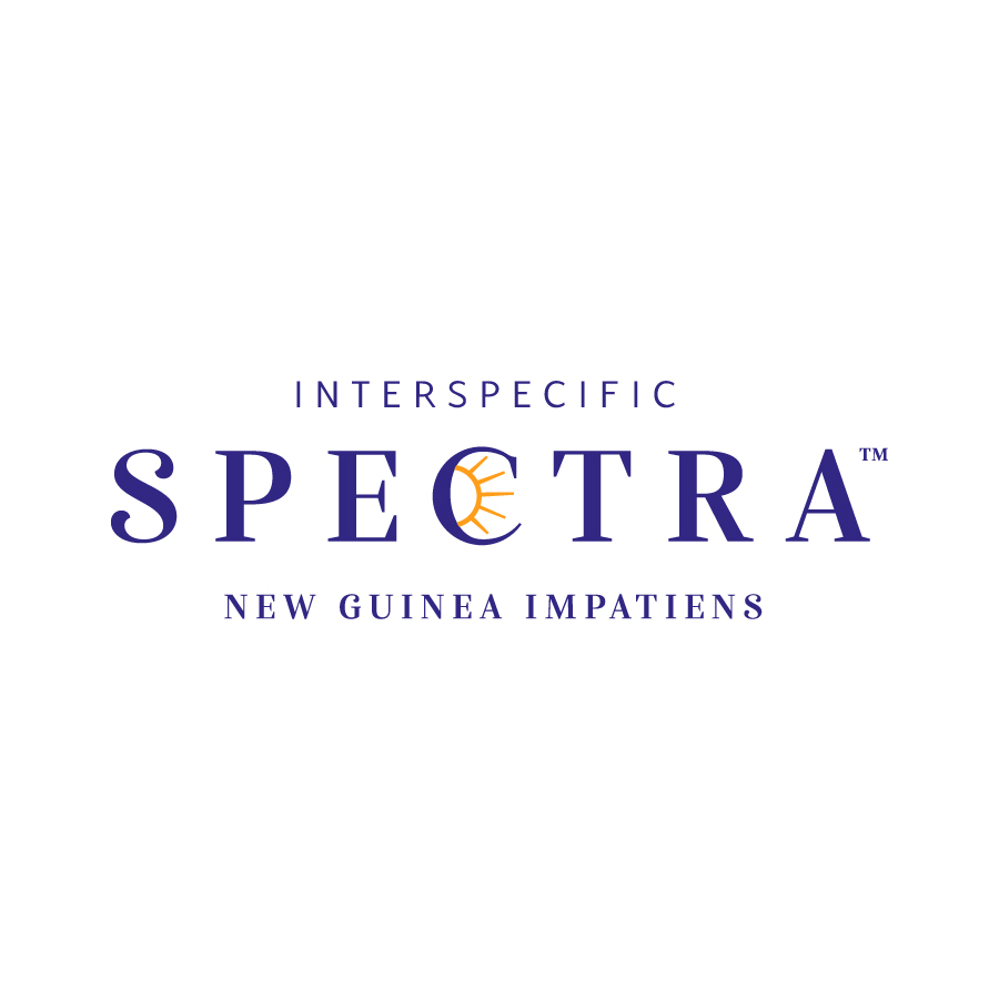 Spectra logo design by logo designer Waltz Creative for your inspiration and for the worlds largest logo competition