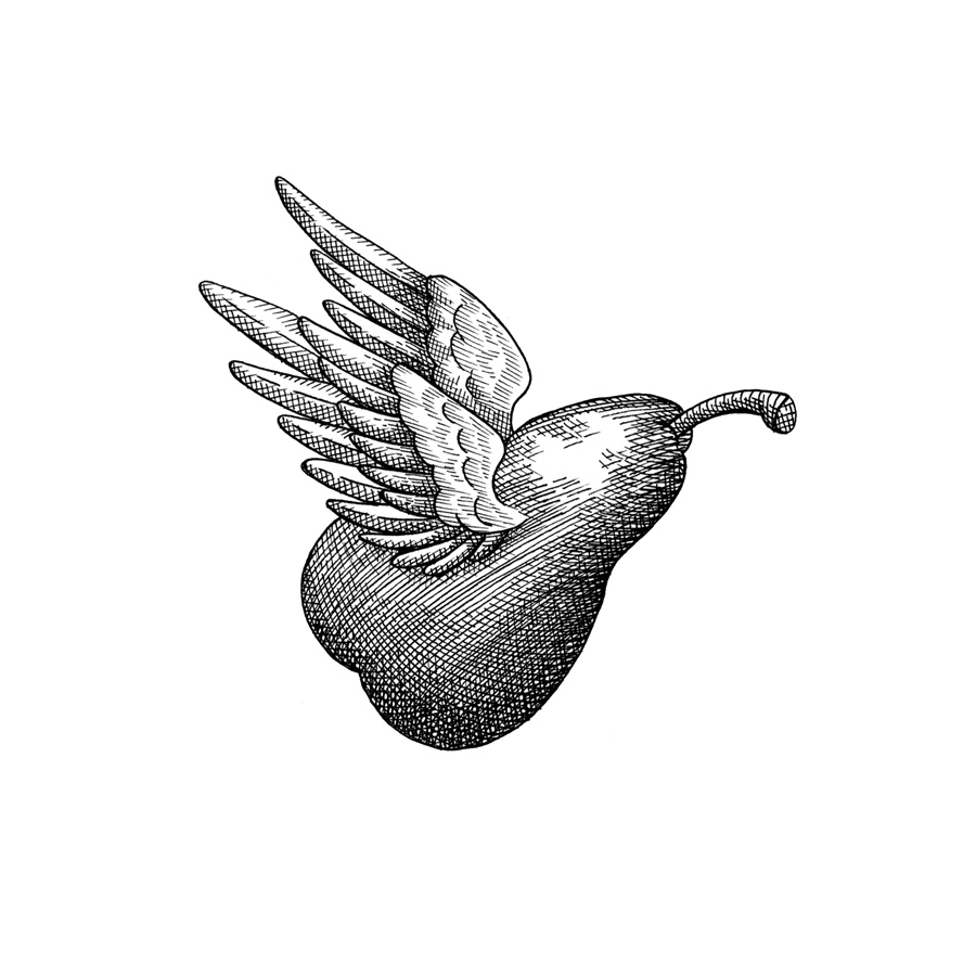 Flying Pear logo design by logo designer Simeon Goa for your inspiration and for the worlds largest logo competition