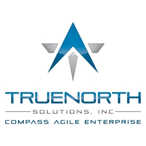 TrueNorth Solutions, Inc / Compass Agile Enterprise  logo design by logo designer Hasan Ali Akhtar for your inspiration and for the worlds largest logo competition