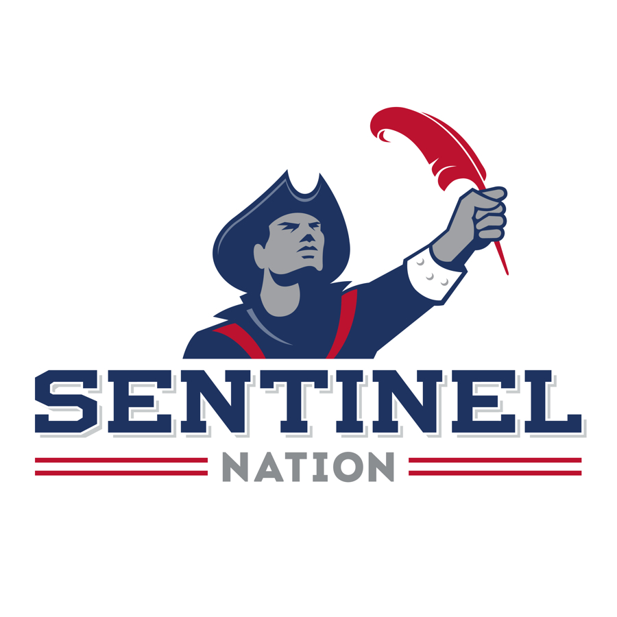 Sentinel Nation  logo design by logo designer Rocksauce Studios for your inspiration and for the worlds largest logo competition