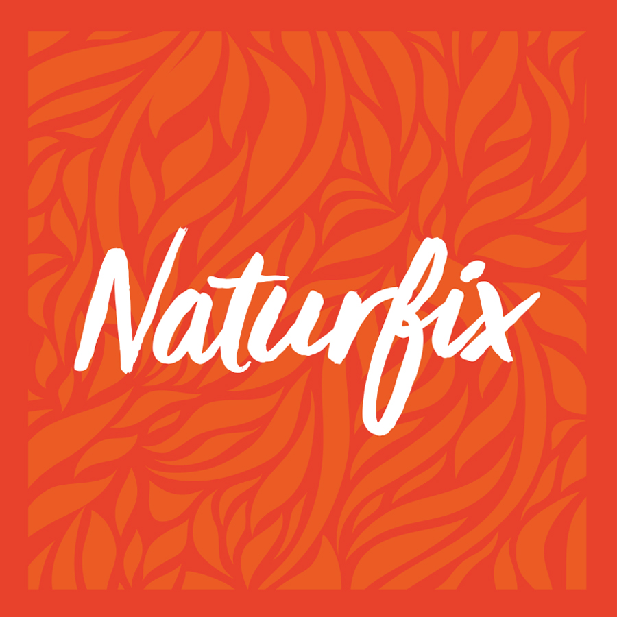 Naturfix logo design by logo designer Iskandara for your inspiration and for the worlds largest logo competition