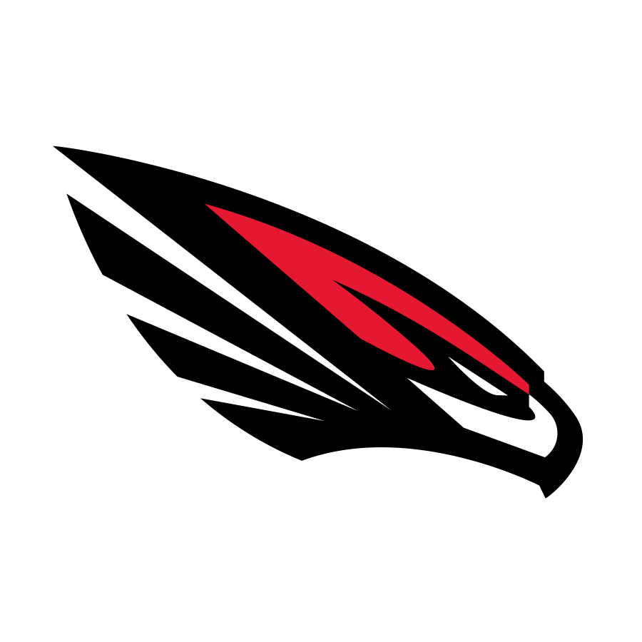 Falcons logo design by logo designer Studio 1344 for your inspiration and for the worlds largest logo competition