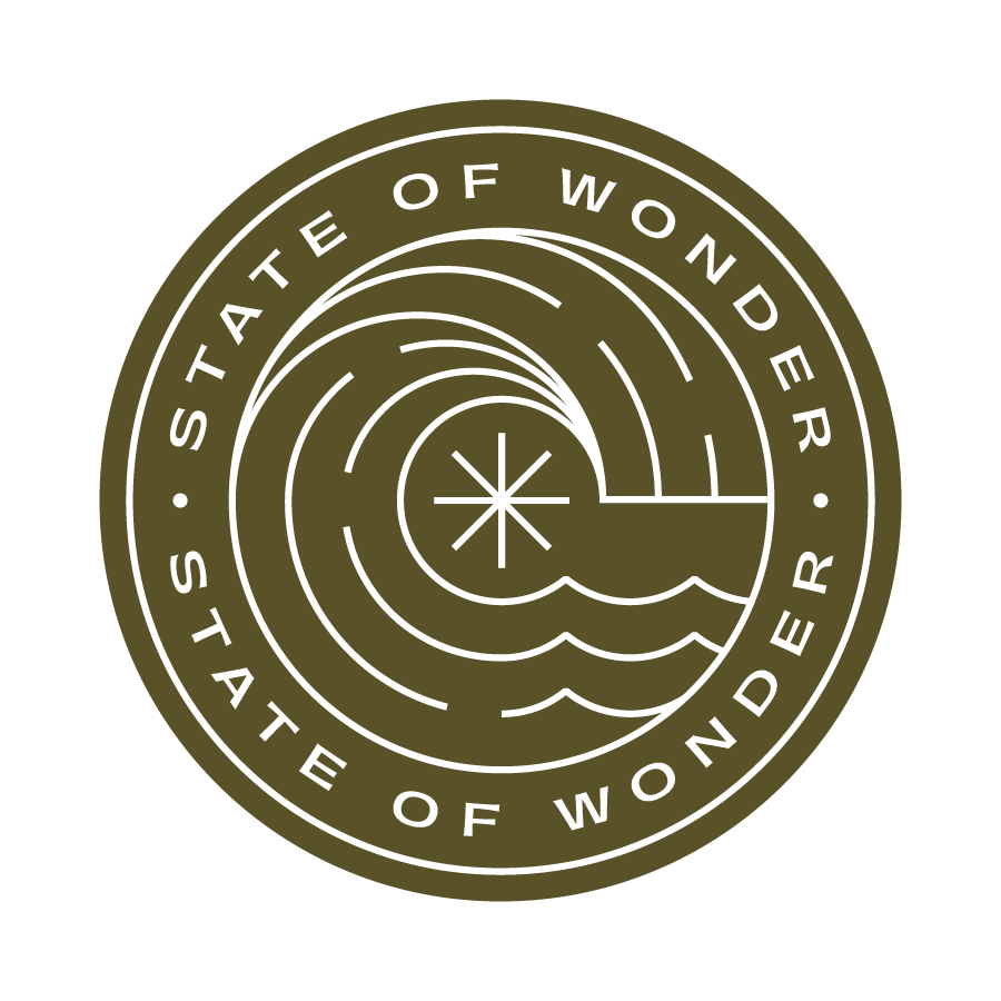 State of Wonder Wave logo design by logo designer Patrick Moriarty Design for your inspiration and for the worlds largest logo competition