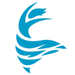 Coastal Dance Academy logo design by logo designer Springer Studios for your inspiration and for the worlds largest logo competition
