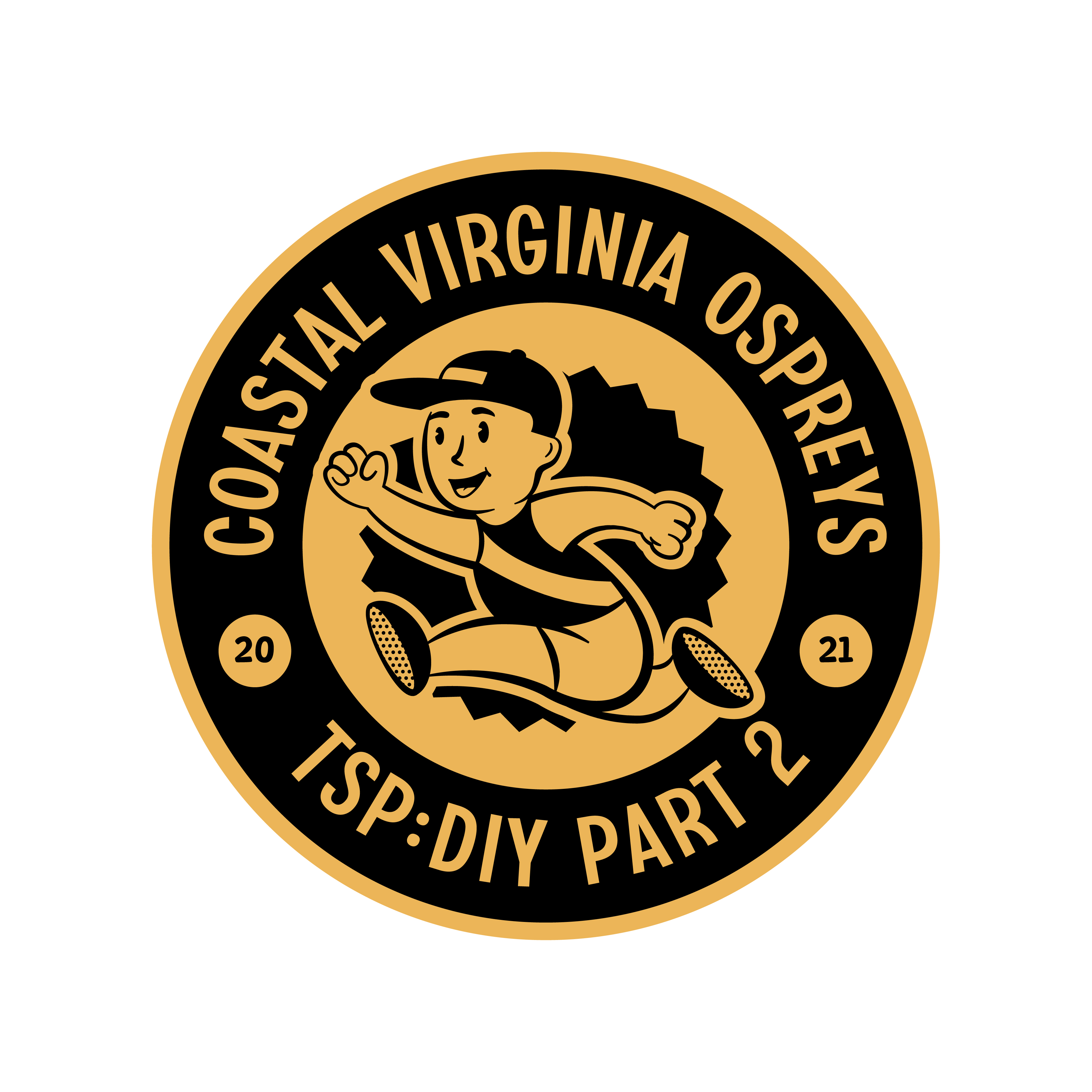 Costal Virginia Ospreys 2021 logo design by logo designer Wandel Design for your inspiration and for the worlds largest logo competition