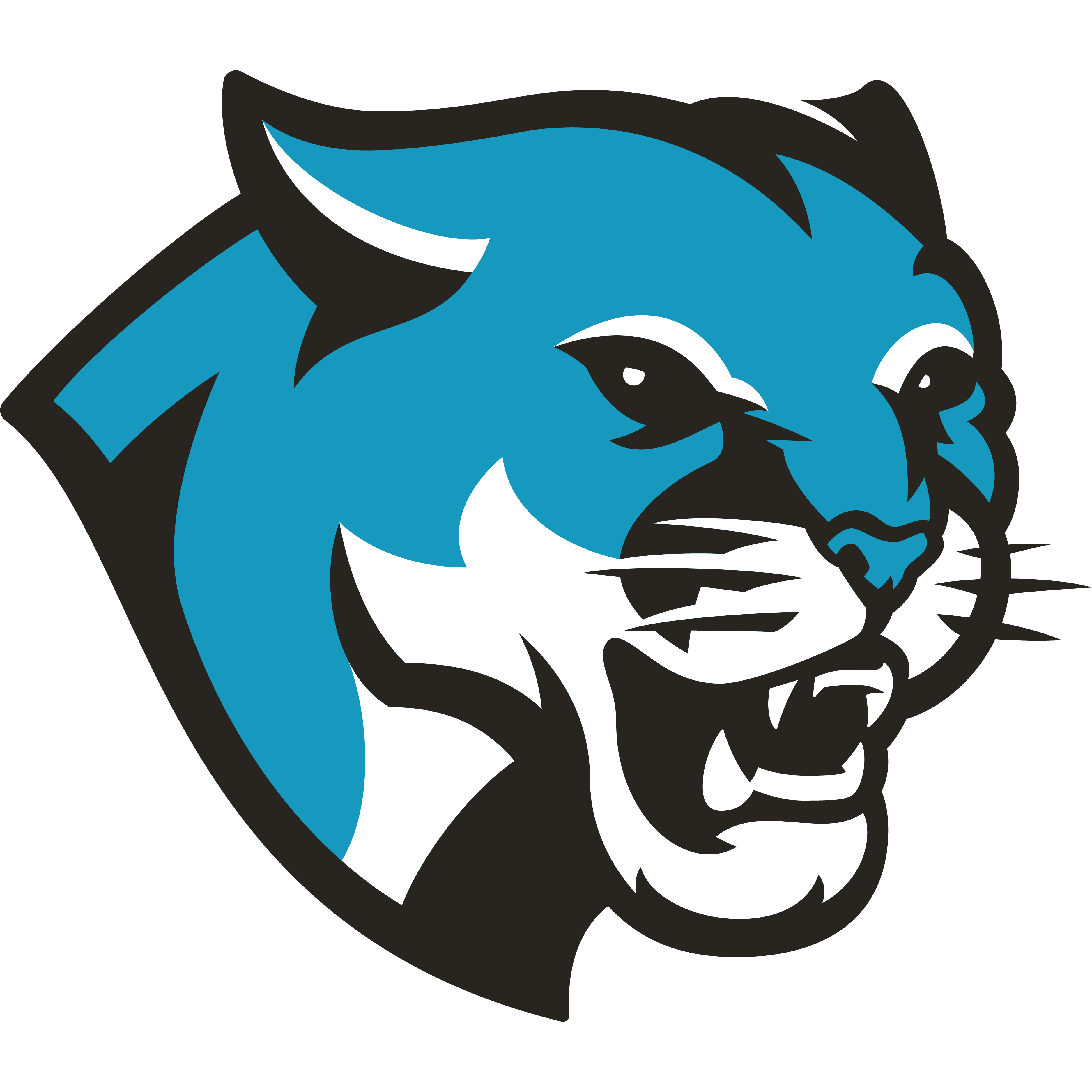 Cooper Cougars logo design by logo designer Randall Dunson for your inspiration and for the worlds largest logo competition