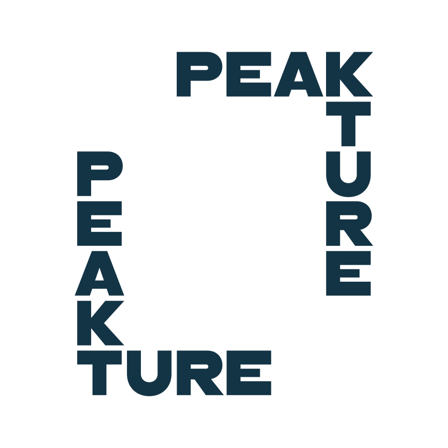 Peakture logo design by logo designer Brandient for your inspiration and for the worlds largest logo competition