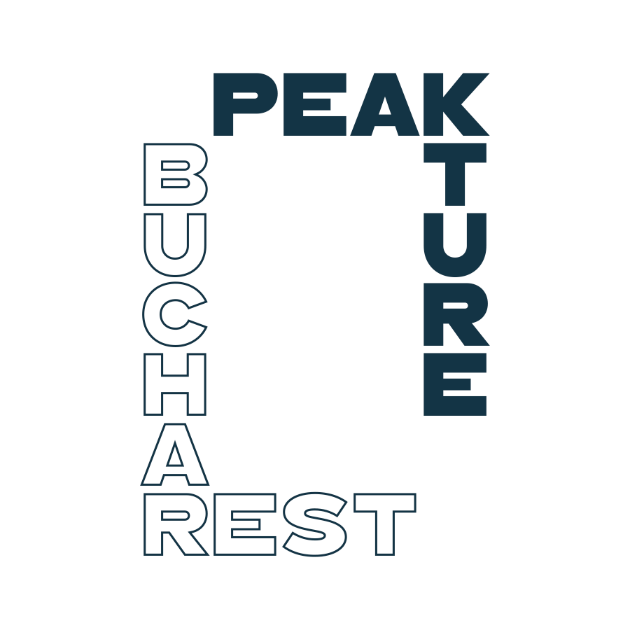 Peakture logo design by logo designer Brandient for your inspiration and for the worlds largest logo competition