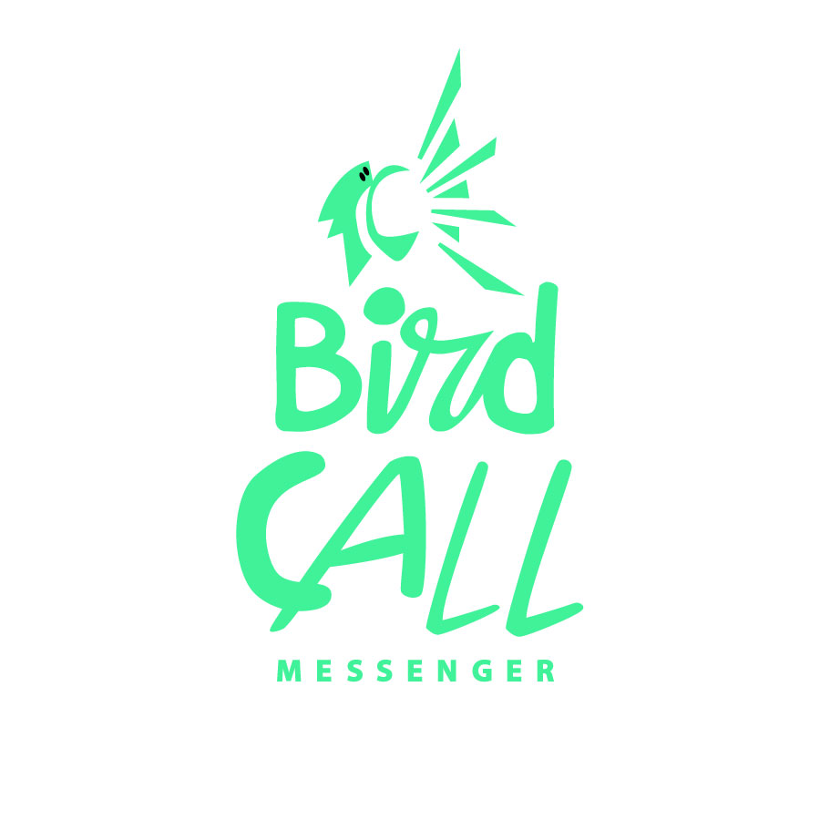 Bird Call Messenger logo design by logo designer Brandon Joseph for your inspiration and for the worlds largest logo competition