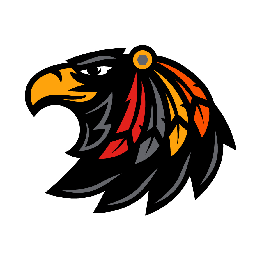 Black Hawks Lacrosse logo design by logo designer Design Shark for your inspiration and for the worlds largest logo competition