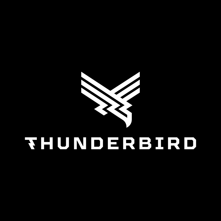 Thunderbird logo design by logo designer Dalibor Pajic for your inspiration and for the worlds largest logo competition