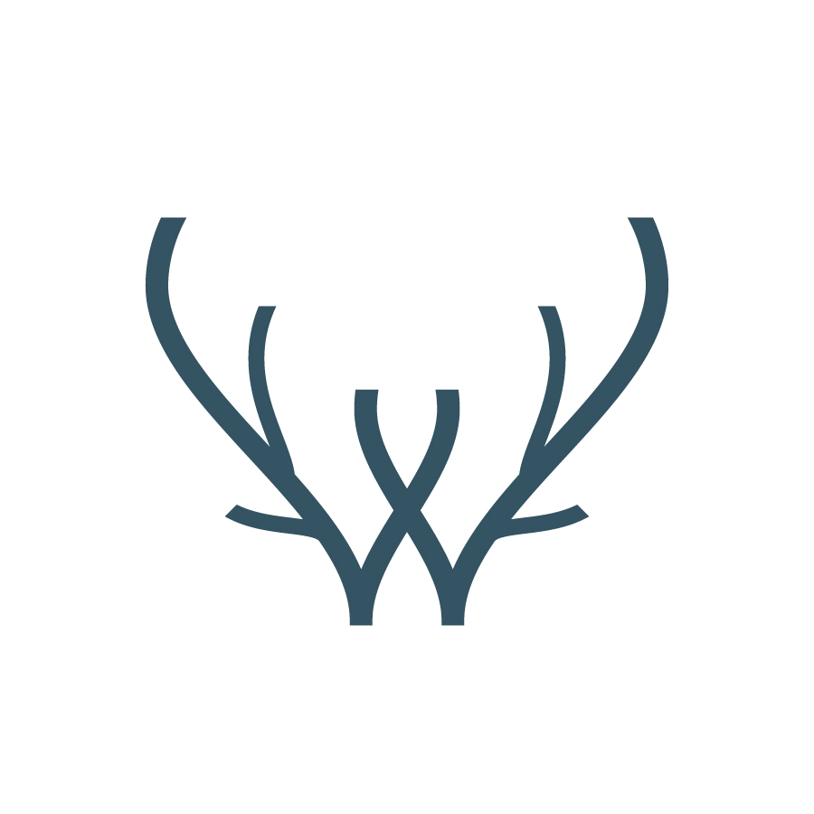 W Wild logo design by logo designer Dalibor Pajic for your inspiration and for the worlds largest logo competition