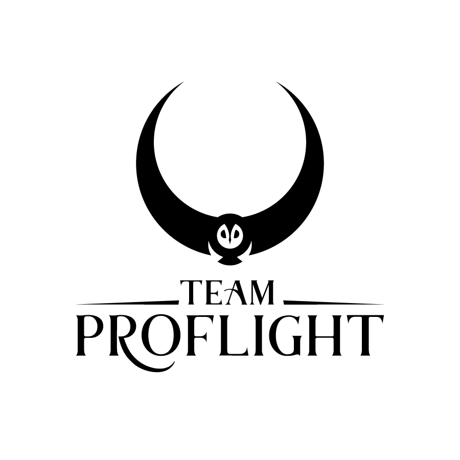 ProFlight Fleet Owl logo design by logo designer Epic By Hand for your inspiration and for the worlds largest logo competition
