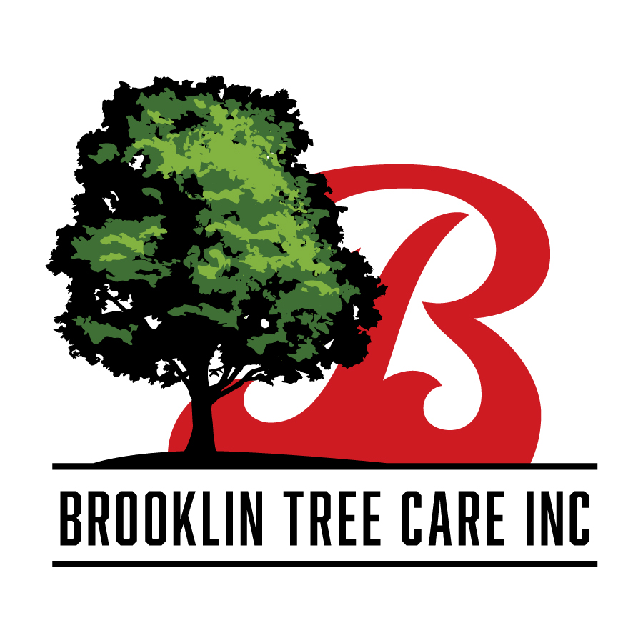 Brooklin+Tree+Care+Inc. logo design by logo designer CMxD for your inspiration and for the worlds largest logo competition