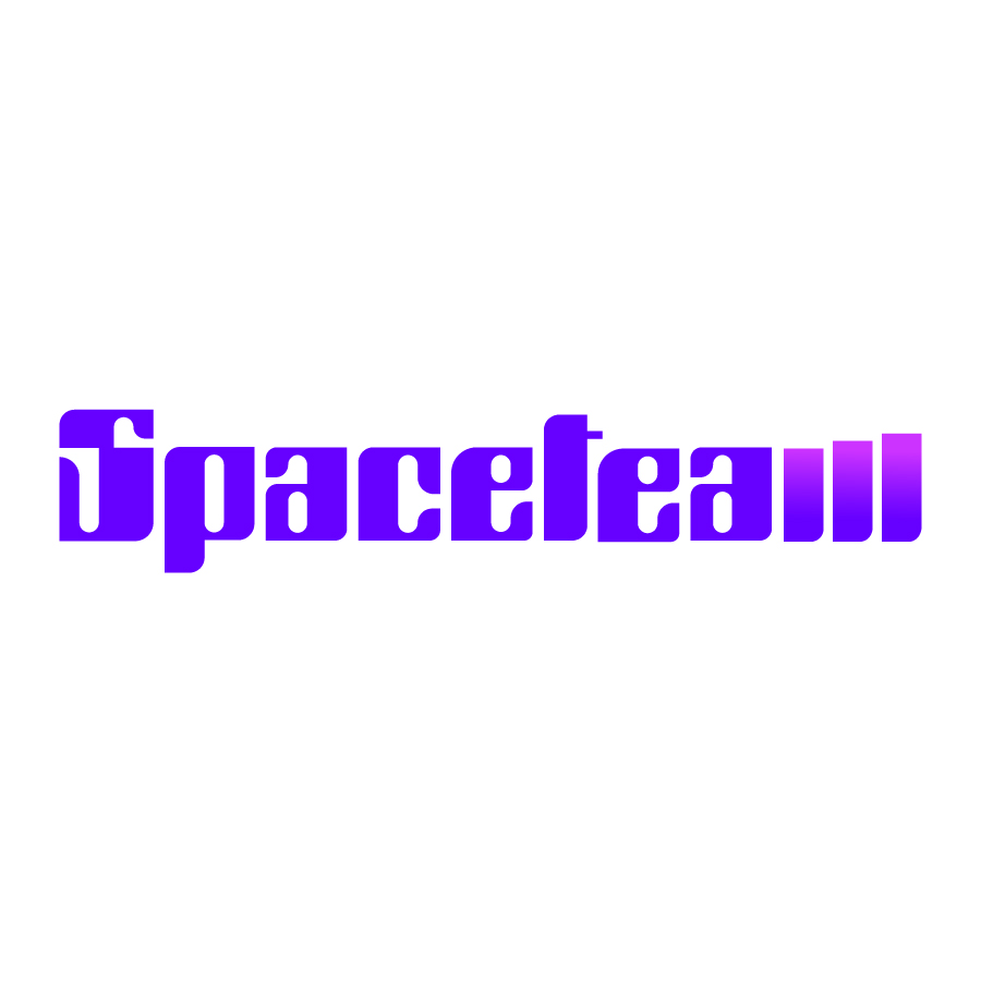 Spaceteam logo design by logo designer Cromia+di+Vaccari+Samuela for your inspiration and for the worlds largest logo competition