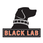 Black Lab logo design by logo designer Stiles Design for your inspiration and for the worlds largest logo competition