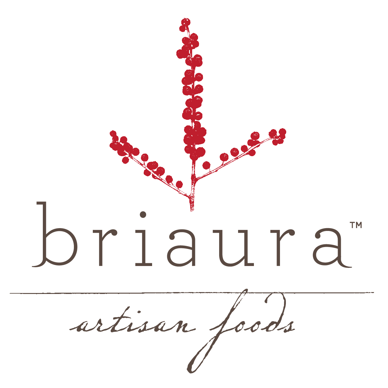 Briaura Artisan Foods logo design by logo designer Funnel : Eric Kass for your inspiration and for the worlds largest logo competition