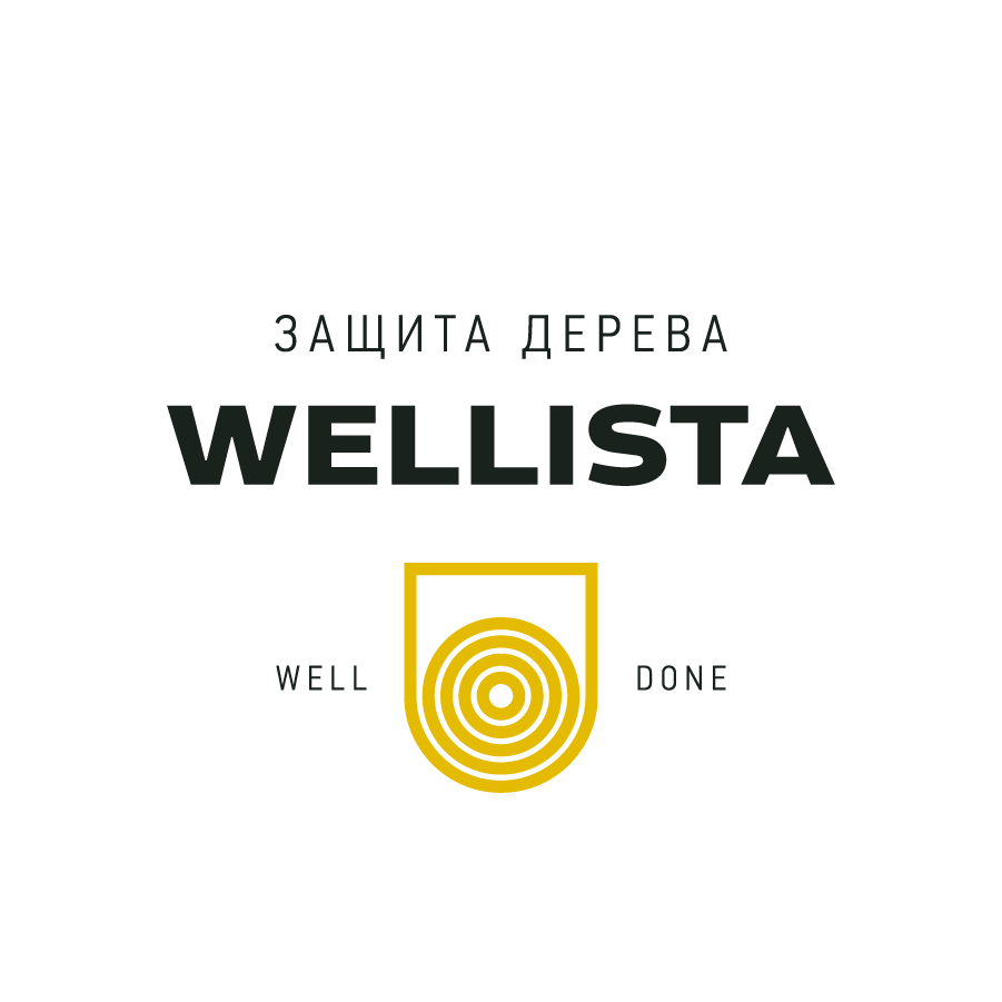 Wellista logo design by logo designer Paradox Box for your inspiration and for the worlds largest logo competition