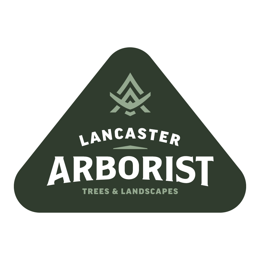 Lancaster Arborist logo design by logo designer The Infantree for your inspiration and for the worlds largest logo competition